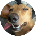 grecia miron profile picture